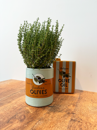 Plantenpot Olijfje