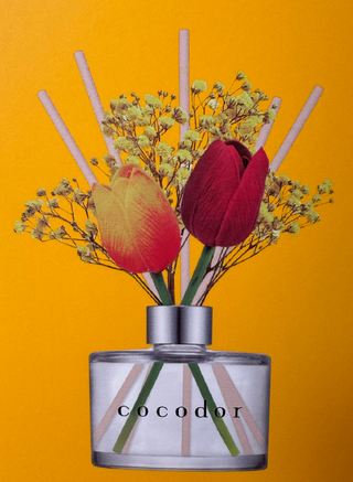 Cocodor Tulpen 200ml