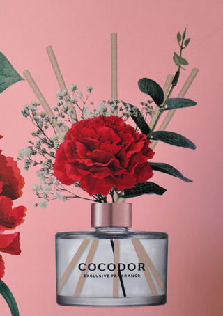 Cocodor Anjer 200ml