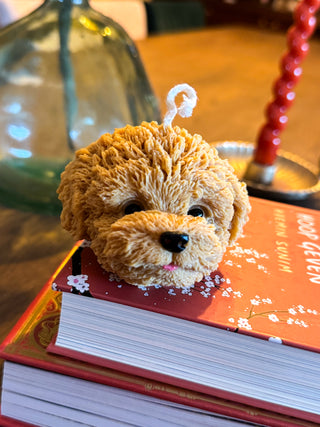 Labradoodle kaars