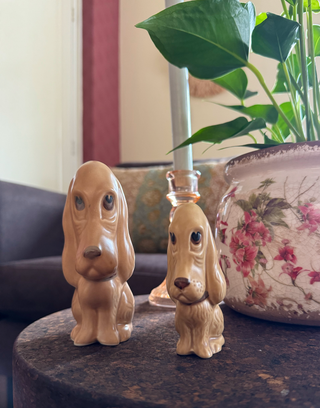 Basset Hondjes